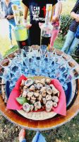 Singlereise Kroatien - Willkommen zur Weinlese
