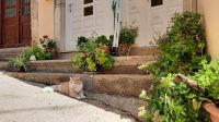 Singlereise Kroatien - beim Rundgang in Krk-Stadt