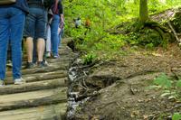 Tag – Ausflug zu den Plitwizter Seen (42)