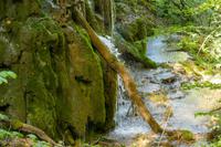 Tag – Ausflug zu den Plitwizter Seen (51)