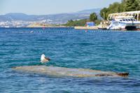 Tag – Schiffsausflug in der Kvarner Bucht (26)