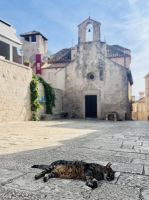 Tag 6 - Korčula