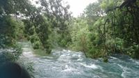 Unmengen von Wasser heut an den Krka Wasserfällen