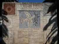Vela Luca