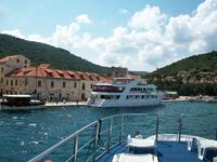 Vis