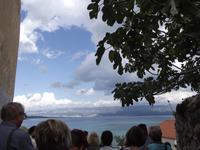 Vrbnik