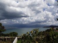 Vrbnik
