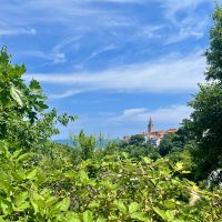 Vrbnik