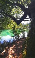 Wanderweg im Plitvicer Nationalpark, er steht unter UNESCO-Weltkulturerbe