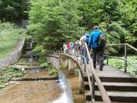 Weg zum Wasserfall