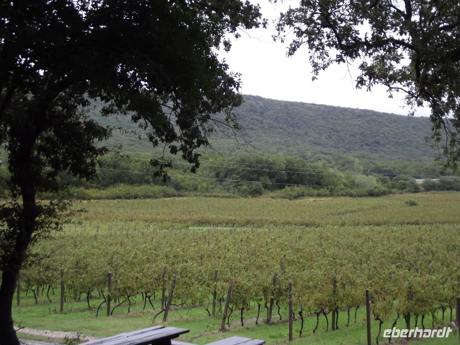 Weingut Pavlomir