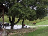 Weingut Pavlomir