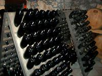 Weinprobe in Vrbnik