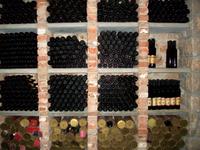 Weinprobe in Vrbnik