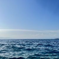 Wieder auf dem Meer!