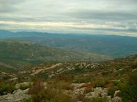 Wildes Land 