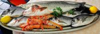 Wir essen bei einem einheimischen Fischrestaurant