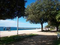 Zadar