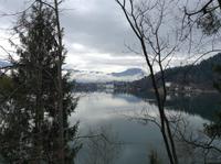 der Bleder See
