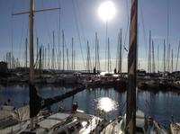 der Yachthafen