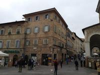 in Urbino