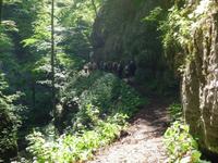 in der Felsschlucht