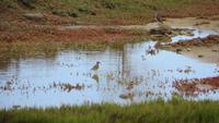 0182 Fahrt nach Baracoa -