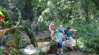 0765 Wanderung im Parque Guanayara
