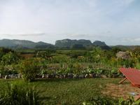 Vinales