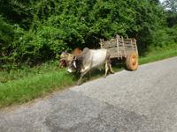 Radtour nach Puerto Esperanza
