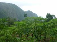 Landwirtschaft der Bauernfamilie