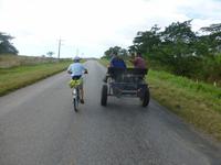Radtour vom botanischen Garten Richtung Trinidad