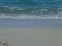 Strand Cayo Santa Maria