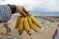 Fahrt nach Baracoa - Karibikküste