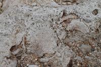 Fahrt nach Baracoa - Karibikküste