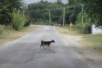 Fahrt nach Baracoa - Karibikküste