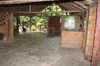 Baracoa - Kakaobauer