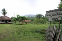 Baracoa - Kakaobauer