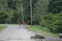 Fahrt nach Santiago de Cuba