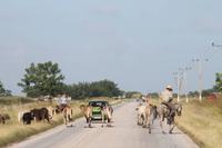 Fahrt zurück nach Camagüey