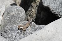 Trinidad Stadtrundgang