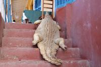 Trinidad Stadtrundgang