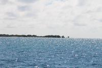 Katamaranausflug - Cayo Blanco