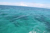 Katamaranausflug - Cayo Blanco