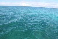 Katamaranausflug - Cayo Blanco