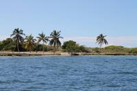 Katamaranausflug - Cayo Blanco