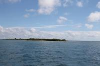 Katamaranausflug - Cayo Blanco