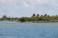 Katamaranausflug - Cayo Blanco