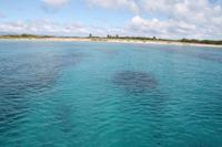 Katamaranausflug - Cayo Blanco