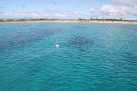 Katamaranausflug - Cayo Blanco